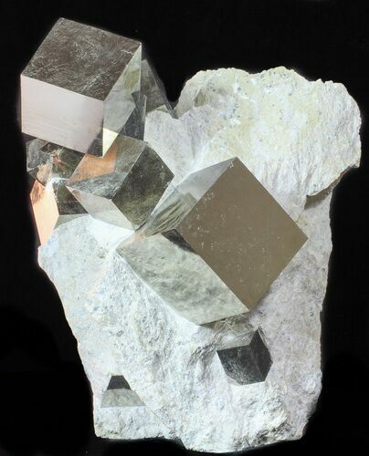 Museum Quality Pyrite Cube Cluster In Matrix - Spain #50697